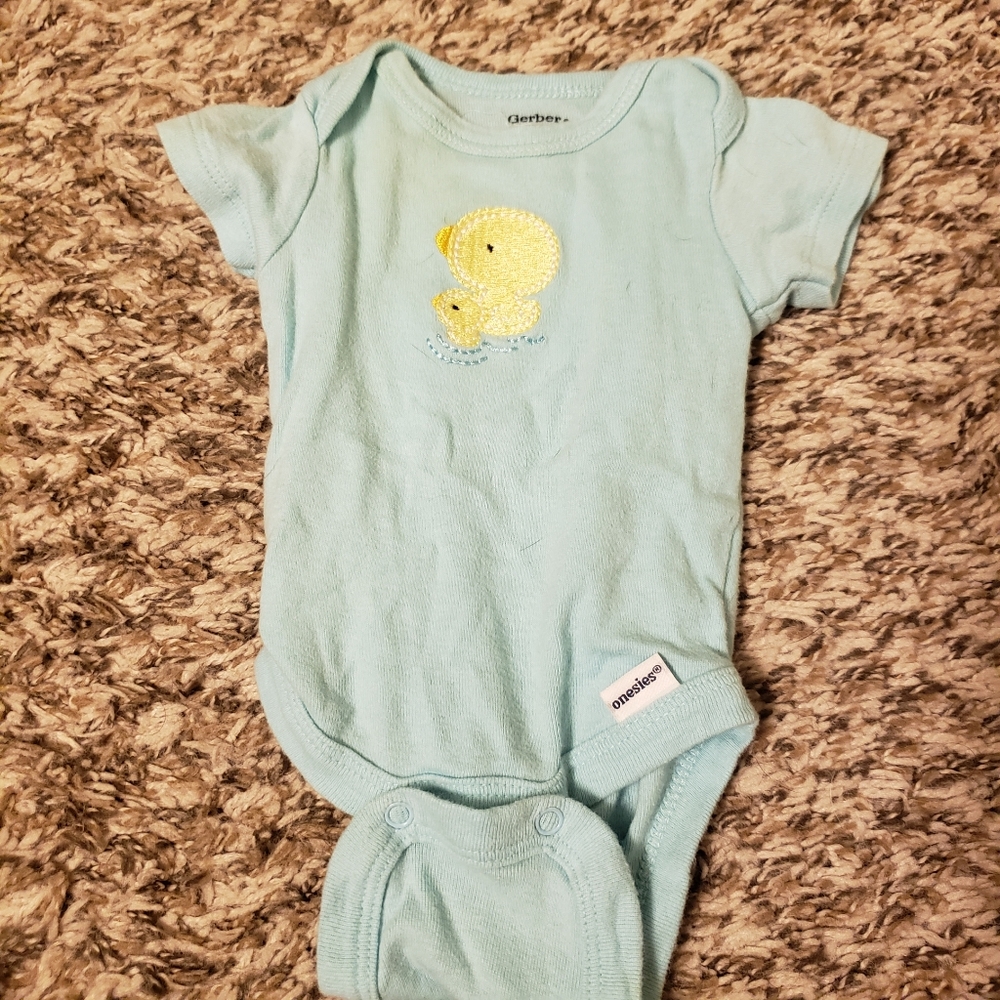 Gerber newborn ducks